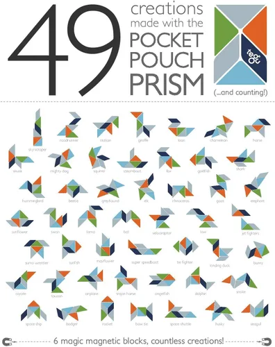 Vista 4 de Tegu Compañeros de viaje, avión a reacción