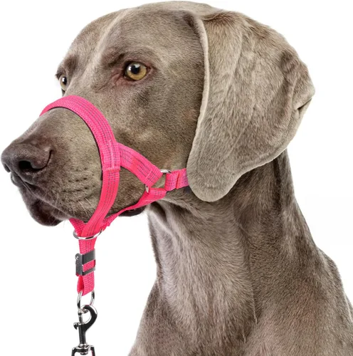 Vista 13 de BARKLESS Collar resistente sin tirones para perros medianos y grandes, suave y reflectante con enlace de seguridad, correa de bozal de entrenamiento