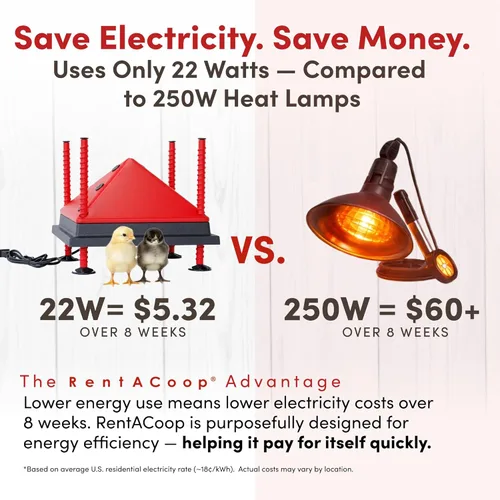 Vista 5 de RentACoop Placa de calefacción ajustable de 12 x 12 pulgadas con cono anti-percha plegable adicional para hasta 20 pollitos Placa de calor pequeña