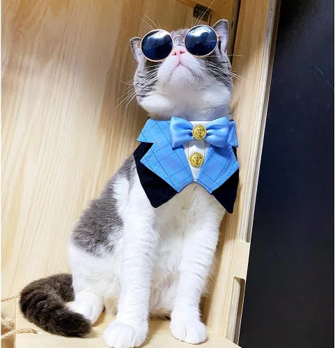 Vista 6 de Disfraz formal de esmoquin para perro, disfraz de cumpleaños de gato, perro, atuendo formal de boda (azul)