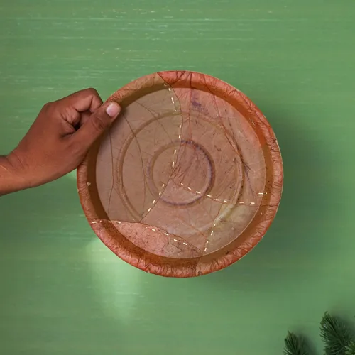 Vista 2 de Desi Favors Platos desechables verdes, cero residuos, juego de platos redondos biodegradables de hoja de palash de sal - platos desechables indios