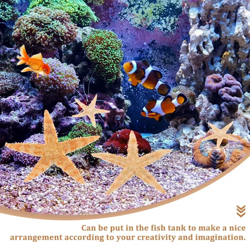 Vista 9 de SEWACC 100 piezas de océano, playa, conchas marinas, estrellas de mar, pecera náutica, acuario, decoración de mesa, jarrón disperso para decoración