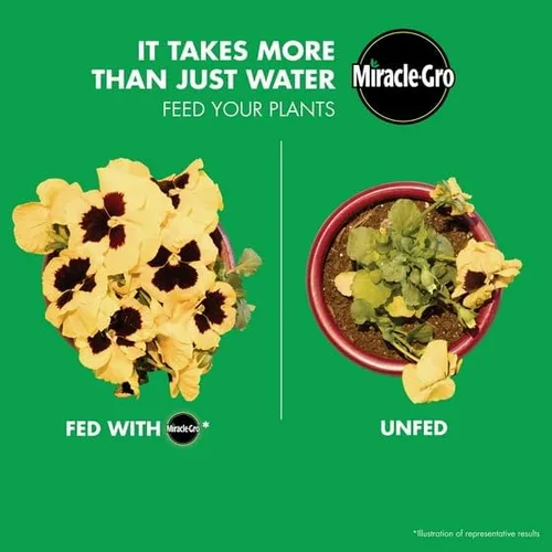 Vista 5 de Miracls-GRO - Alimento de flores soluble en agua, 1.5 libras, para todas las plantas (paquete de 1)