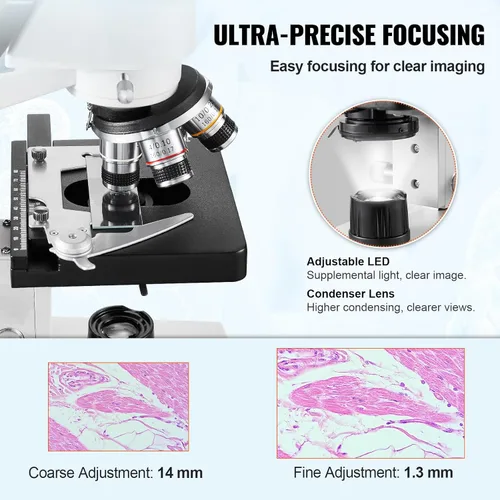 Vista 3 de VEVOR Microscopio trinocular compuesto, microscopio de laboratorio compuesto trinocular de aumento 40X-5000X con etapa mecánica de dos capas