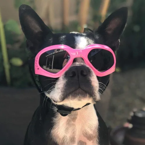 Vista 6 de Pet Leso anteojos de perro elegante Doggie Cachorro anteojos de sol resistente al viento, Rosado