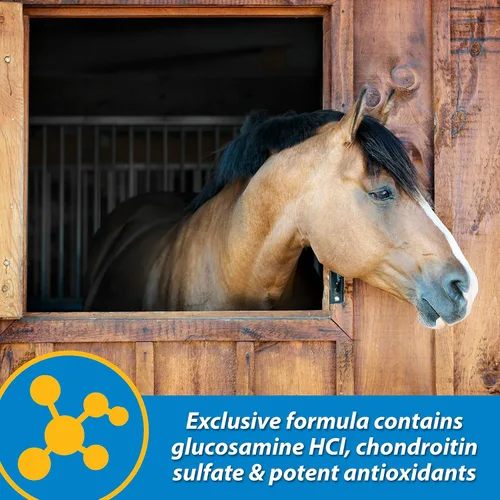 Vista 4 de Farnam Fluidflex Suplemento líquido para articulaciones para caballos, ayuda a mantener una función saludable de cadera y articulaciones, 64 onzas
