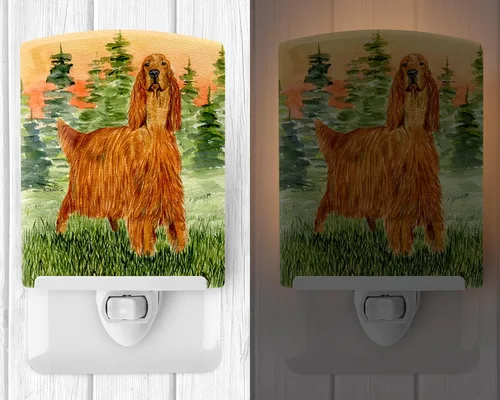 Vista 2 de Caroline 's Treasures Setter irlandés luz de noche, 6" x 4", multicolor