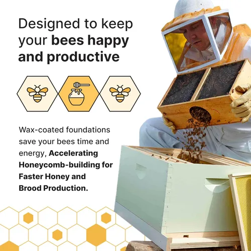 Vista 5 de Mann Lake Kit de colmena profunda de 10 marcos, cuerpo de colmena de abeja de 9 pulgadas totalmente montado con 10 marcos y base de plástico