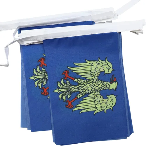 Vista 261 de Guatemala 19.7 ft BUNTING Flag 20 banderas 9'' x 6'' - Banderas de cuerda guatemalteca 5.9 x 8.3 in - AZ FLAG