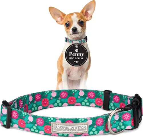 Vista 35 de Lucky Love Dog - Collar para perras pequeñas, diseño Blackbird de estampado alegre con flores de primavera y verano, talla XS Collar Blackbird