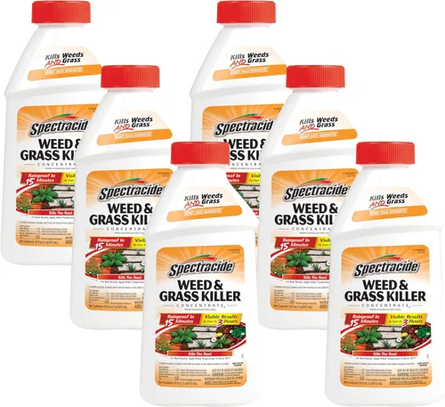 Vista 15 de Spectracide Concentrado para matar malezas y hierbas, 1 galón, uso en patios, pasarelas y calzadas