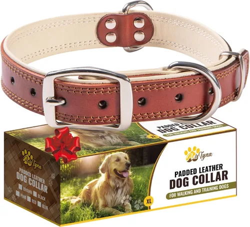 Vista 19 de ADITYNA Collar de perro de cuero negro resistente para perros pequeños, acolchado suave para mayor comodidad, collar de perro pequeño para caminar