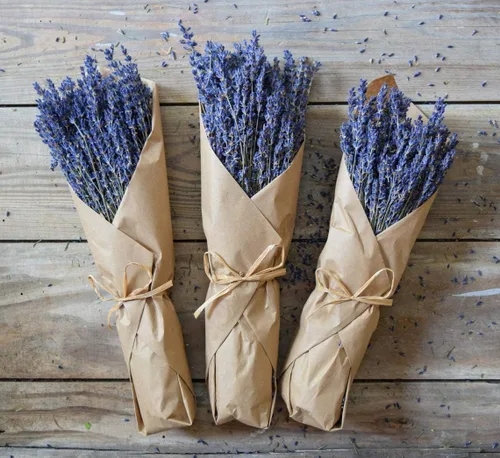 Dried Lavender Bundle – Organic True Grosso Lavender (300 Stems, 14”), Farm-Fresh & Fragrant – Rustic Home Décor, Wedding Bouquets & Wreath Crafting