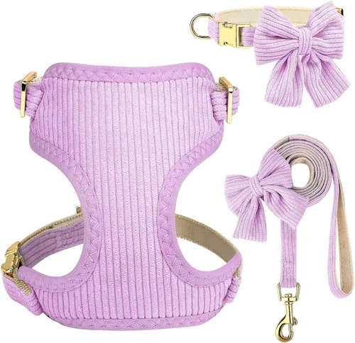 Vista 9 de Didog - Juego de collar y correa de arnés para perro pequeño con corbatín, azul, talla S