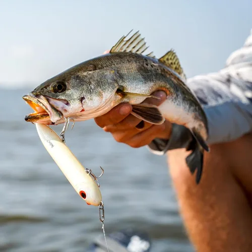 Vista 5 de Clips de pesca de velocidad de Top Water Co. - Acero inoxidable duradero, conector de señuelo rápido (varios tamaños)