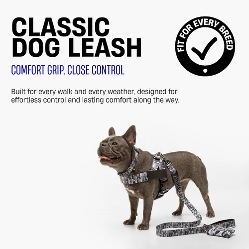 Vista 2 de Dog Friendly Co. Correa clásica para perro, resistente (pequeña, negra)