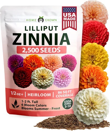 Vista 19 de HOME GROWN Semillas de diente de león para plantar 600 semillas de hierbas medicinales tradicionales (~ 0.01 oz) sin OMG cultivan hojas y flores