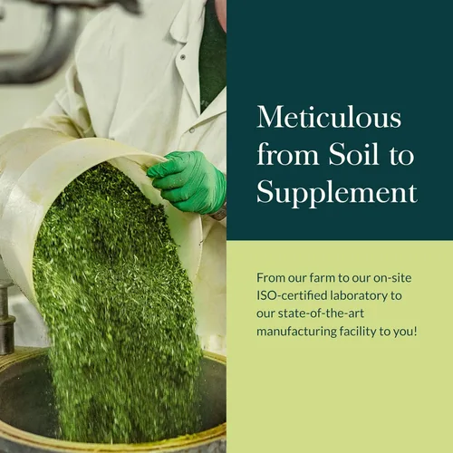 Vista 8 de Gaia Herbs Libido masculina - Suplemento de hierbas con palma enana, hierba de cabra cachonda y avena - Hierbas tradicionales para apoyar