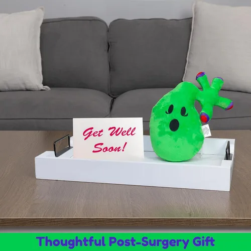 Vista 3 de Attatoy Peluche de vesícula biliar, juguete de peluche de órgano corporal completo con cálculos biliares