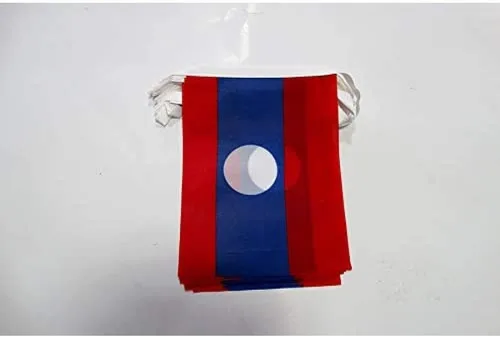 Vista 286 de Guatemala 19.7 ft BUNTING Flag 20 banderas 9'' x 6'' - Banderas de cuerda guatemalteca 5.9 x 8.3 in - AZ FLAG