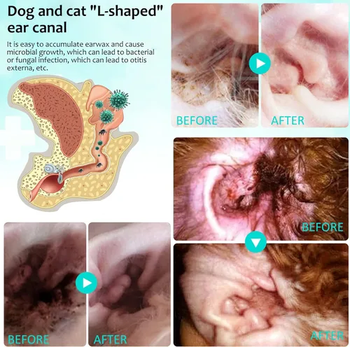 Vista 8 de Tratamiento de ácaros de oído para perros, tratamiento de infección de oído de perro, gotas para los oídos para aliviar la picazón en las orejas