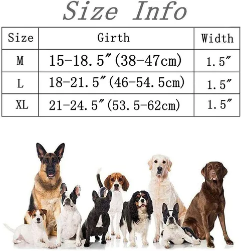 Vista 5 de Collar táctico para perro con hebilla de metal resistente y asa de control para entrenamiento de perros medianos y grandes (azul brillante, mediano)