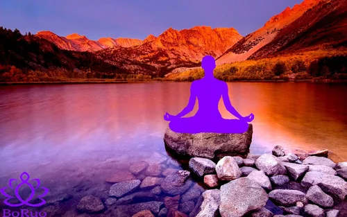 Vista 4 de BORUO Anillo de plata esterlina 925, flor de loto, yoga, alta resistencia al desgaste, ajuste cómodo, anillo de boda de 2mm