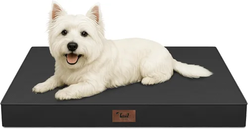 Vista 71 de Cama para perros y gatos pequeños, impermeable, para jaula de huevos, espuma ortopédica con funda Oxford lavable y extraíble, color verde Amy
