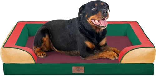 Vista 106 de Comfort Expression - Cama ortopédica para perros pequeños, 20 x 14 pulgadas, cama impermeable y de apoyo de espuma con cojines removibles, sofá