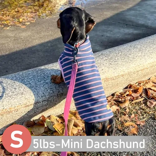 Vista 6 de KYEESE Paquete de 2 suéteres para perro, abrigo para mascotas, cuello alto, ropa elástica para perros, suéteres súper suaves para perros pequeños