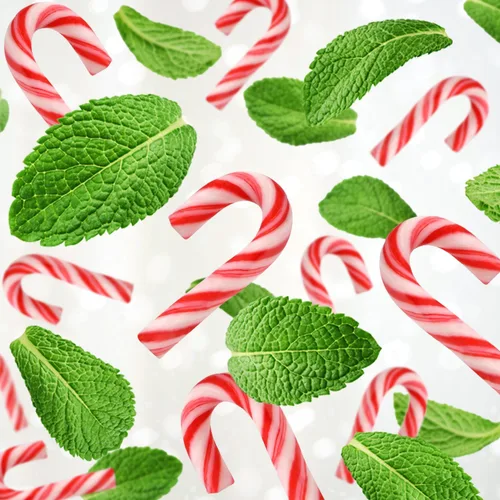 Vista 8 de Mini bastones de caramelo envueltos individualmente, paquete de 100 unidades – Bastones de caramelo de menta pequeños sin tintes, caramelos