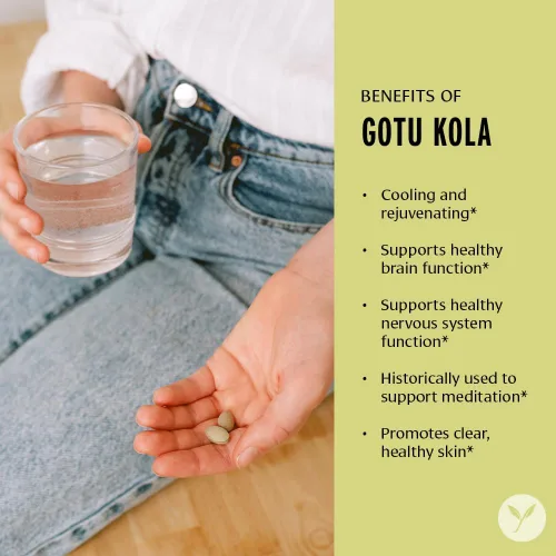 Vista 2 de Banyan Botanicals Brahmi/Gotu Kola Tablets - USDA Organic - 90 tabletas - Centella asiática - Apoya la concentración, el estado de alerta y un