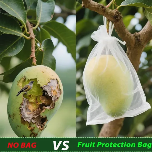 Vista 3 de Bolsas de protección de frutas, 100 unidades, bolsas de malla reutilizables para árboles frutales, tamaño 3, fundas transpirables para proteger