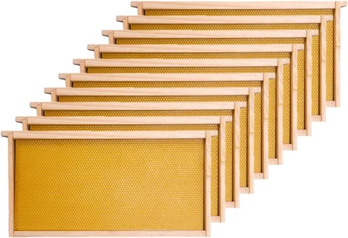 Honey Lake Kit de marcos y bases de colmena profunda, paquete de 10 marcos de madera de cría y base de plástico sumergida en cera de abeja natural