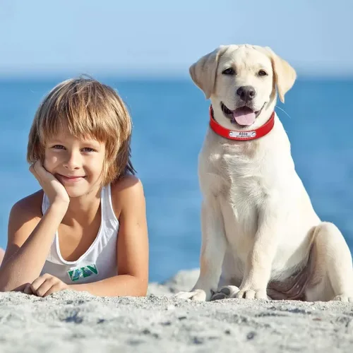 Vista 38 de Collares de perro personalizados, collar de perro de cuero suave y duradero, collar de perro personalizado con placa de nombre, collar de perro azul