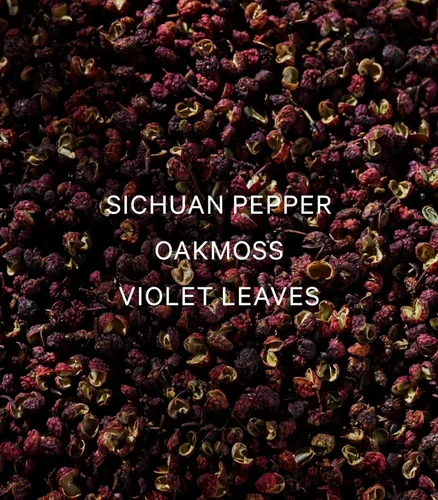 Vista 3 de Victoria's Secret VS Him Platinum Colonia para Hombre (1.7 oz)