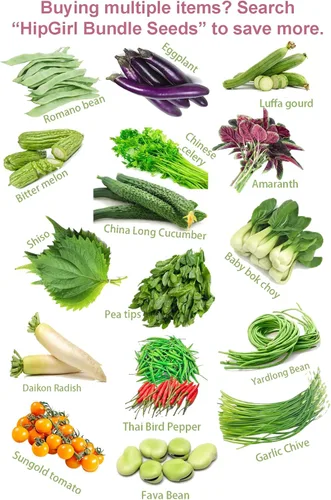 Semillas de calabaza amarga asiática para plantar verduras y frutas. Semillas de verduras en casa huerto y vainas de semillas hidropónicas, semillas