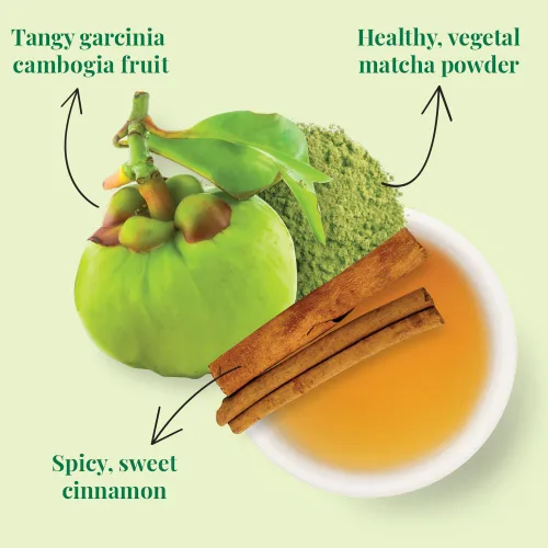 Vista 4 de The Republic of Tea Mezcla de té verde magro, matcha y garcinia cambogia (36 bolsas de té)