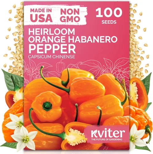 Vista 10 de KVITER 30 semillas de pimiento picante de chile cobra negro (Capsicum Annuum) – Semillas de herencia de pimiento de cabras, semillas de jardín