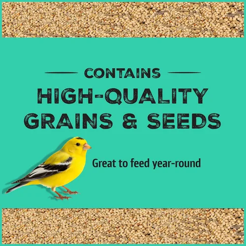 Vista 2 de Pennington - Pride Wild Finch - Mezcla de semillas para pájaros silvestres, 10 libras