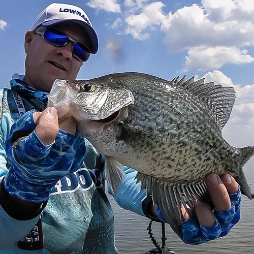 Vista 6 de GLACIER GLOVE Islamorada 50+ protección solar, duradero, ligero, transpirable, de secado rápido, sin dedos, para pesca al aire libre