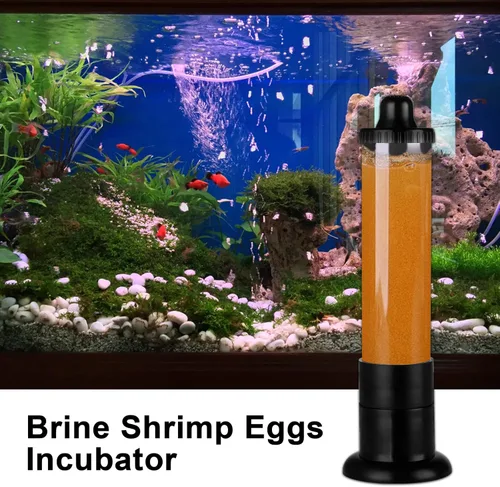 Vista 7 de Kit de incubadora de huevos de camarón en salmuera, herramienta de artemia de plástico para pecera, acuario, cría y eclosión