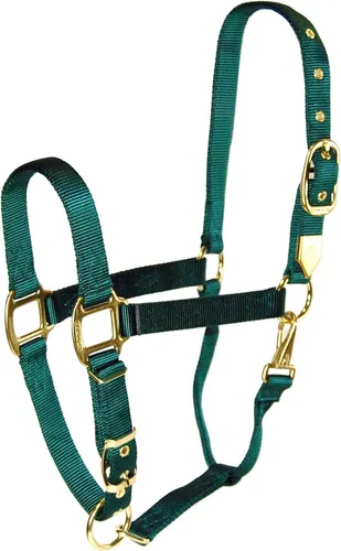 Vista 18 de Hamilton Halter de nailon de 1 pulgada con barbilla ajustable, color negro, tamaño promedio