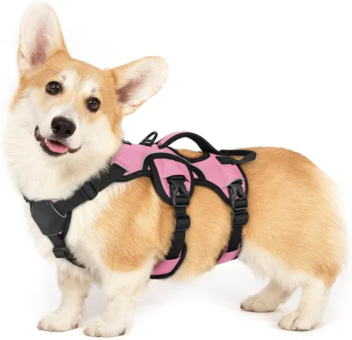 Vista 68 de rabbitgoo Arnés de perro a prueba de escape para pequeños, sin tirones con Negro