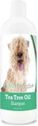 Vista 170 de Healthy Breeds Chow Chow Champú de aceite de árbol de té, formulado para pieles secas e irritadas, reduce la caspa, aroma de gaulteria, 8 onzas