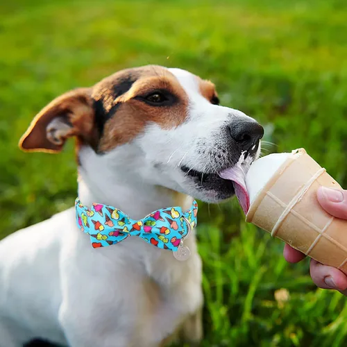 Vista 6 de Collar de verano para perro con pajarita, collar de algodón lindo para perro, collar de lazo de verano para perros pequeños, collar de perro azul