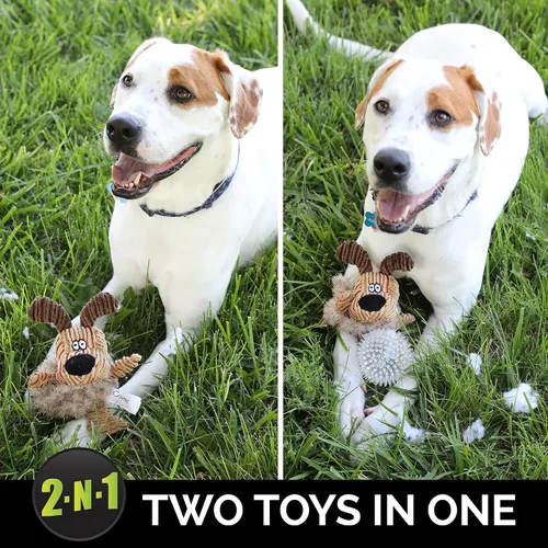Vista 2 de Hyper Pet Bumpy Palz 2-in-1 Interactive Dog Toys; Chew Toys & Puzzle (Plush Exterior & Fun Squeaky Dog Ball), Small (Pack of 12)