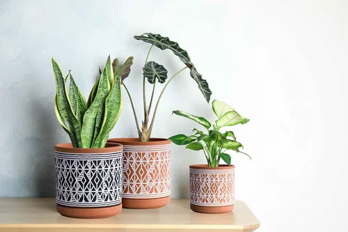 Vista 5 de D'vine Dev Juego de 2 macetas de terracota, maceta con patrón de diamante, 4 y 6 pulgadas, maceta con orificio de drenaje y platillo