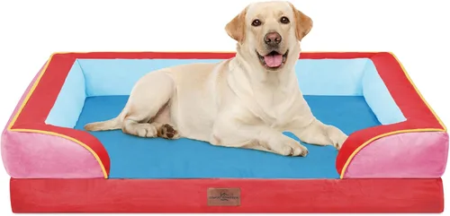 Vista 151 de Comfort Expression - Cama ortopédica para perros pequeños, 20 x 14 pulgadas, cama impermeable y de apoyo de espuma con cojines removibles, sofá