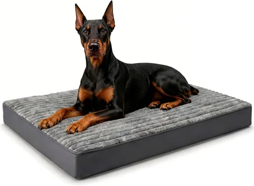 Vista 12 de Cama ortopédica para perros pequeños, cama ortopédica de franela para mascotas con funda extraíble lavable, impermeable, indestructible con parte